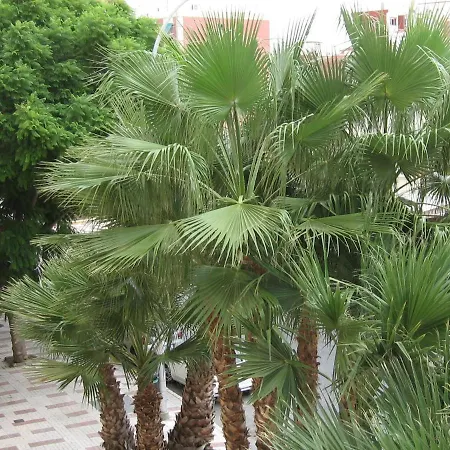 Excelente Apartamento Princesa 33 Apartment *